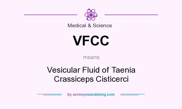 What does VFCC mean? It stands for Vesicular Fluid of Taenia Crassiceps Cisticerci