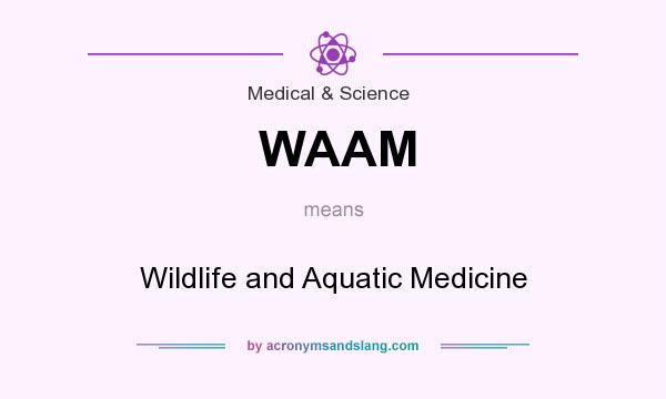 What does WAAM mean? It stands for Wildlife and Aquatic Medicine