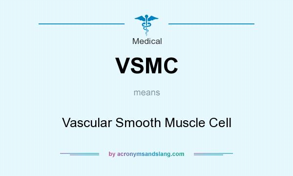 What does VSMC mean? It stands for Vascular Smooth Muscle Cell
