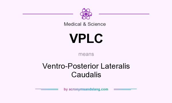 What does VPLC mean? It stands for Ventro-Posterior Lateralis Caudalis