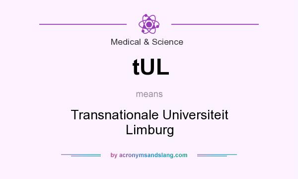 What does tUL mean? It stands for Transnationale Universiteit Limburg