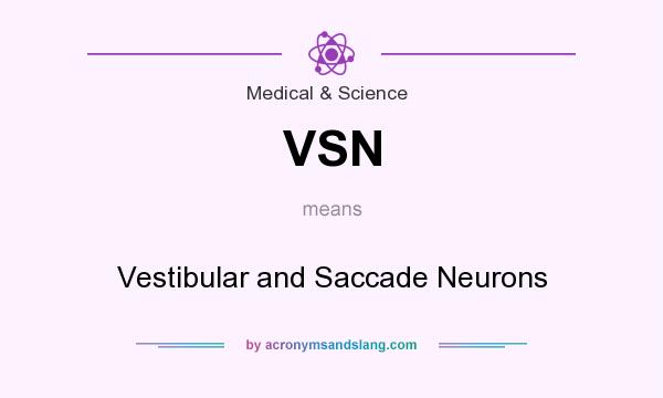What does VSN mean? It stands for Vestibular and Saccade Neurons