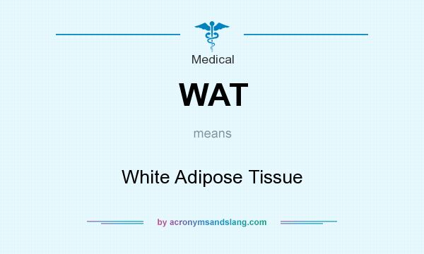 What does WAT mean? It stands for White Adipose Tissue