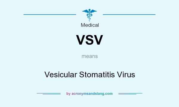 What does VSV mean? It stands for Vesicular Stomatitis Virus