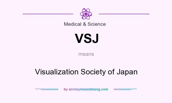 What does VSJ mean? It stands for Visualization Society of Japan