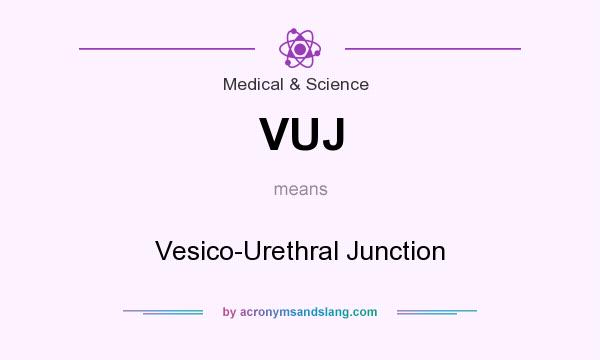 What does VUJ mean? It stands for Vesico-Urethral Junction