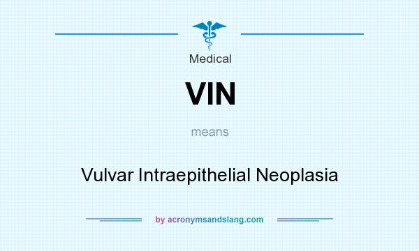 What does VIN mean? It stands for Vulvar Intraepithelial Neoplasia