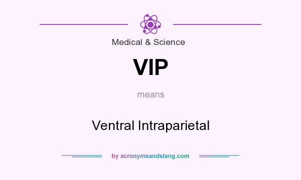 What does VIP mean? It stands for Ventral Intraparietal