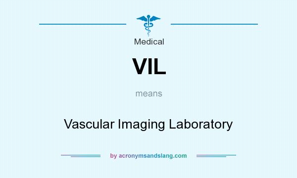 What does VIL mean? It stands for Vascular Imaging Laboratory
