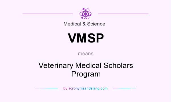 What does VMSP mean? It stands for Veterinary Medical Scholars Program