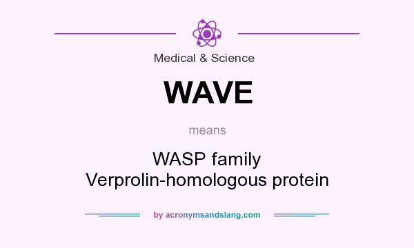 What does WAVE mean? It stands for WASP family Verprolin-homologous protein