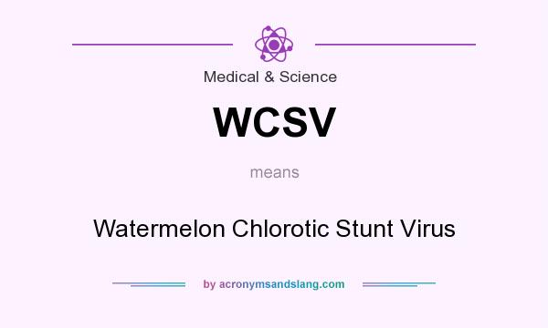 What does WCSV mean? It stands for Watermelon Chlorotic Stunt Virus