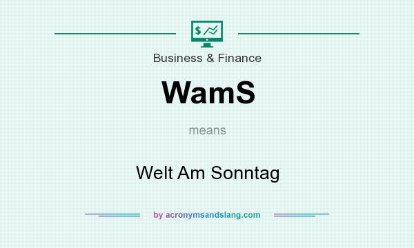 What does WamS mean? It stands for Welt Am Sonntag