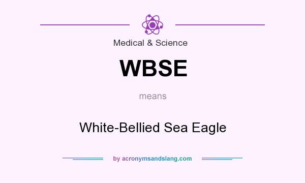What does WBSE mean? It stands for White-Bellied Sea Eagle