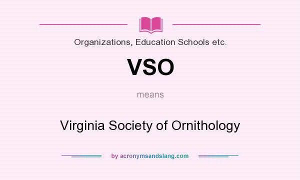 What does VSO mean? It stands for Virginia Society of Ornithology