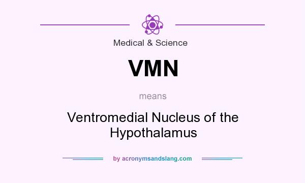 What does VMN mean? It stands for Ventromedial Nucleus of the Hypothalamus