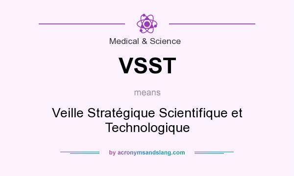 What does VSST mean? It stands for Veille Stratégique Scientifique et Technologique