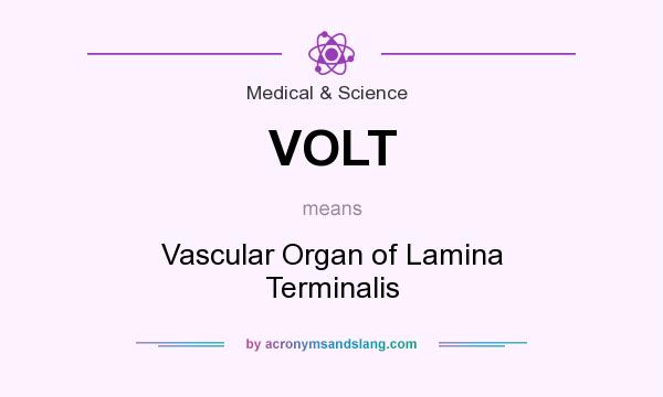 What does VOLT mean? It stands for Vascular Organ of Lamina Terminalis