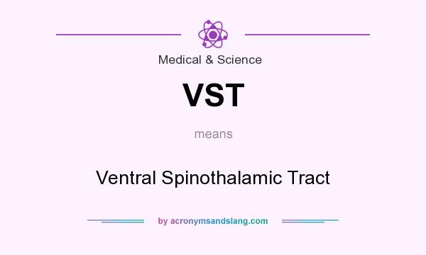 What does VST mean? It stands for Ventral Spinothalamic Tract