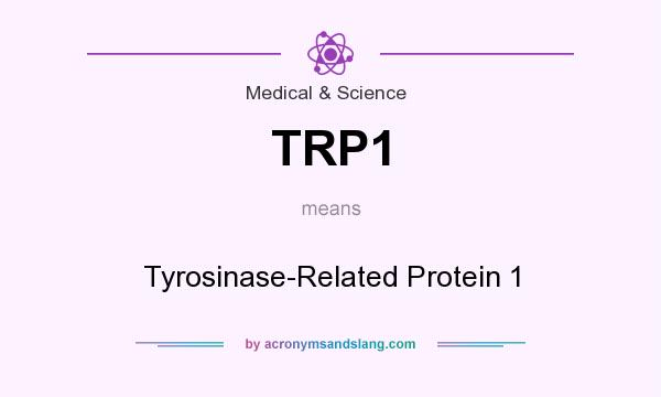 What does TRP1 mean? It stands for Tyrosinase-Related Protein 1
