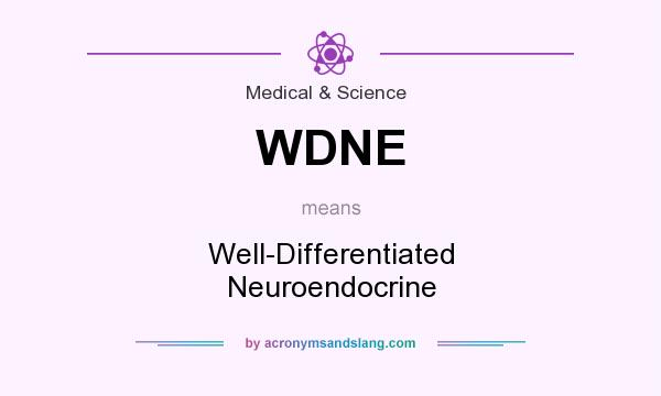 What does WDNE mean? It stands for Well-Differentiated Neuroendocrine