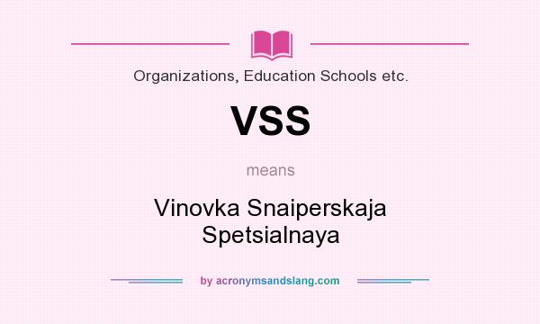 What does VSS mean? It stands for Vinovka Snaiperskaja Spetsialnaya