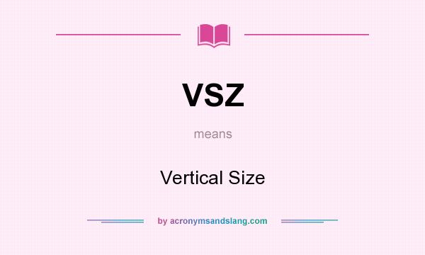 What does VSZ mean? It stands for Vertical Size