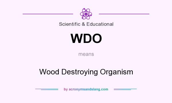 What does WDO mean? It stands for Wood Destroying Organism