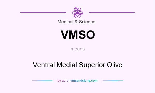 What does VMSO mean? It stands for Ventral Medial Superior Olive