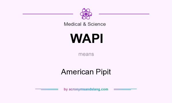 What does WAPI mean? It stands for American Pipit