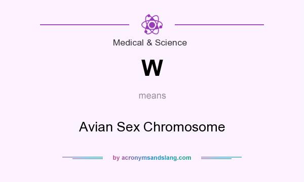 What does W mean? It stands for Avian Sex Chromosome