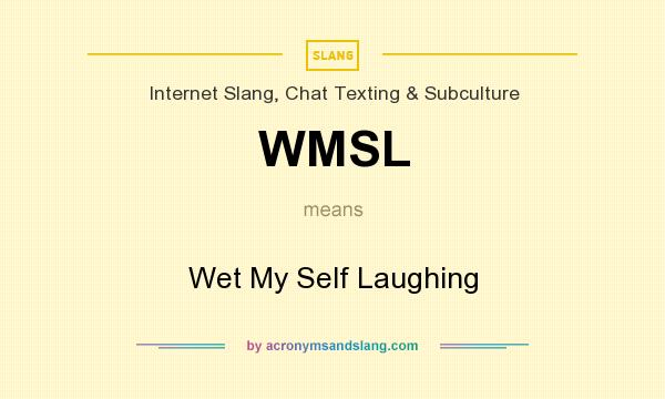 What does WMSL mean? It stands for Wet My Self Laughing