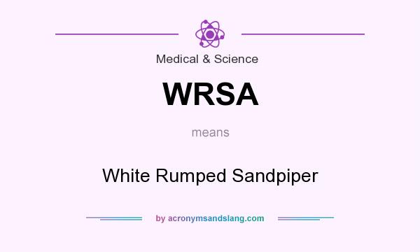 What does WRSA mean? It stands for White Rumped Sandpiper