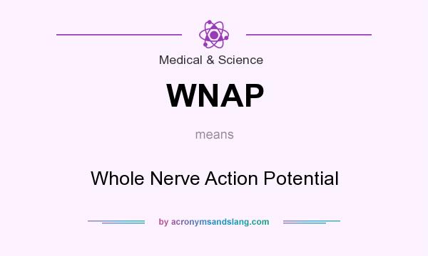 What does WNAP mean? It stands for Whole Nerve Action Potential