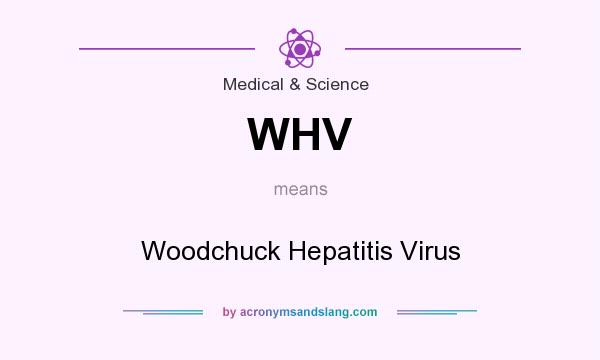 What does WHV mean? It stands for Woodchuck Hepatitis Virus