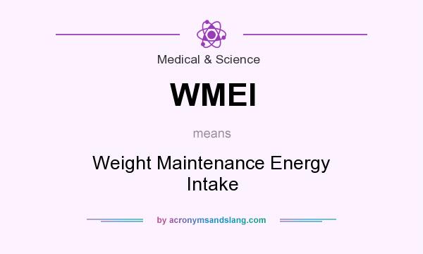 What does WMEI mean? It stands for Weight Maintenance Energy Intake