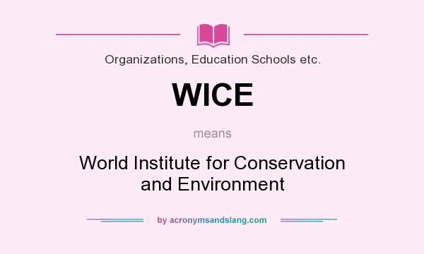 What does WICE mean? It stands for World Institute for Conservation and Environment