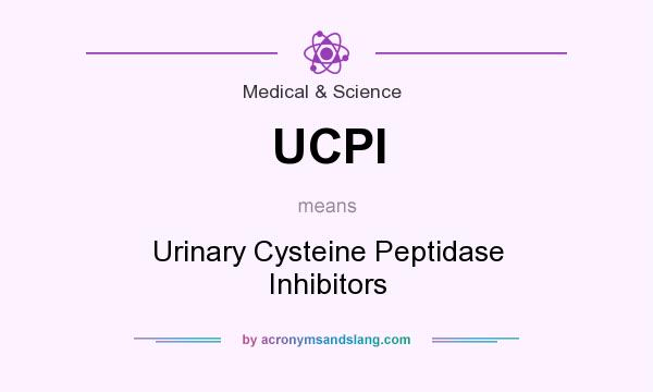 What does UCPI mean? It stands for Urinary Cysteine Peptidase Inhibitors