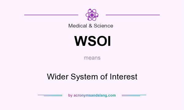 What does WSOI mean? It stands for Wider System of Interest