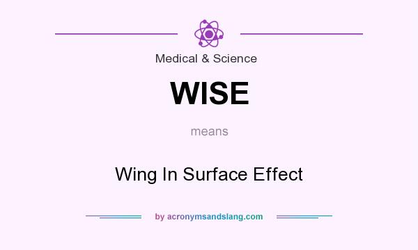 What does WISE mean? It stands for Wing In Surface Effect