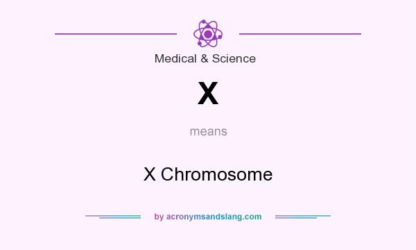 What does X mean? It stands for X Chromosome
