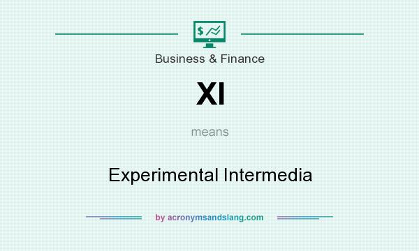 What does XI mean? It stands for Experimental Intermedia