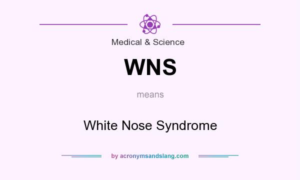 What does WNS mean? It stands for White Nose Syndrome