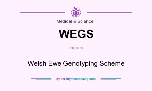 What does WEGS mean? It stands for Welsh Ewe Genotyping Scheme