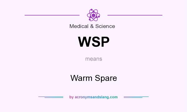 What does WSP mean? It stands for Warm Spare