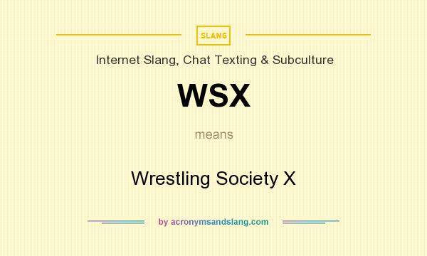 What does WSX mean? It stands for Wrestling Society X