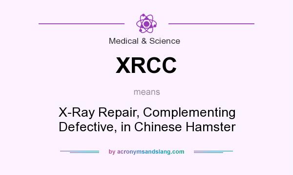 What does XRCC mean? It stands for X-Ray Repair, Complementing Defective, in Chinese Hamster