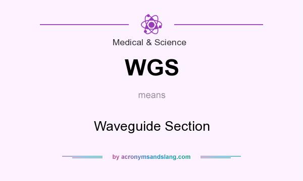 What does WGS mean? It stands for Waveguide Section