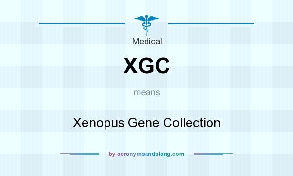 What does XGC mean? It stands for Xenopus Gene Collection