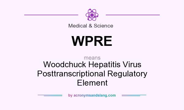 What does WPRE mean? It stands for Woodchuck Hepatitis Virus Posttranscriptional Regulatory Element
